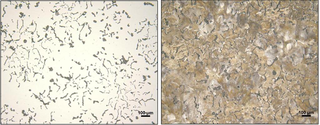 51 4 METODOLOGIA 4.1 Material O material utilizado neste trabalho é um ferro fundido vermicular, FFV, da classe 450, retirado de cabeçotes de motores produzido pela Fundição Tupy.