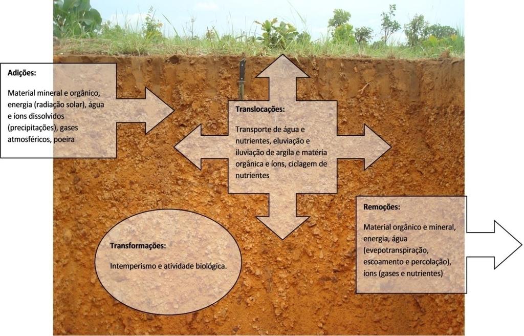 Figura 3: Processos pedogenéticos (forças internas e externas) Fonte: Embrapa Solos (2019) De acordo com Lepsch (2010), os organismos que vivem no solo têm grande importância para a diferenciação dos