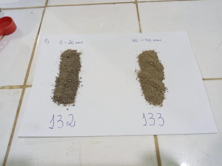fortemente ácidos para as duas amostras (Figura 24). A saturação por ácidos aumenta em subsuperfície decorrente do aumento do alumínio e do ph.