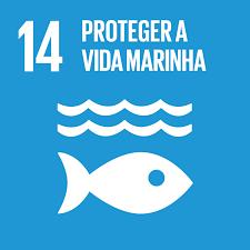 Recursos Hídricos e Sustentabilidade Planetária: Ensino Baseado em Casos no 8ºano de escolaridade 43 Diapositivo 13 Até 2020 gerir de forma sustentável e proteger os ecossistemas marinhos e costeiros
