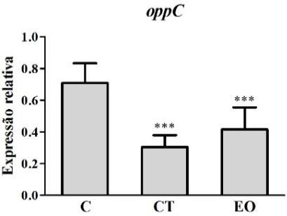 Dos genes confirmatórios da condição de estresse térmico, três (glpk, glpf, dnak) tiveram sua expressão relativa elevada quando comparados ao cultivo controle (P<0,05).