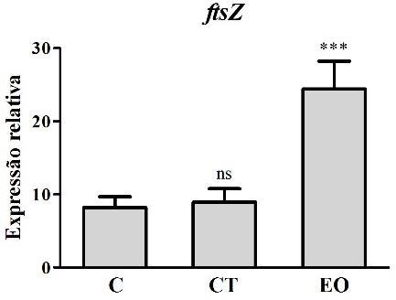 preditas à montante de seu promotor (CATTANI et al., 2016).