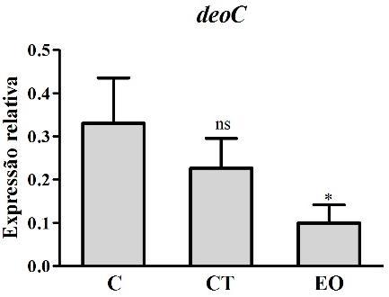 26 gene possui promotor e terminador próprios, bem como sequências repetitivas preditas à montante (CATTANI et al.