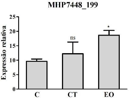 O aumento deste gene nesta condição é interessante, pois se sabe que a inflamação gerada pela infecção por M.