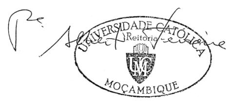 iv assunção de valores éticos, que enriquecem a personalidade e ajudam a promover a liberdade, a solidariedade e o espírito de responsabilidade individual.