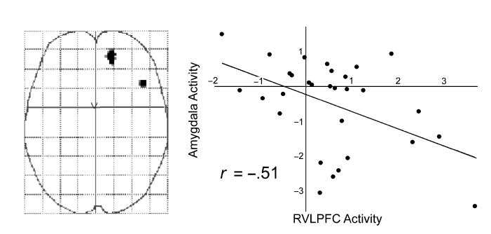 Relação inversa entre a ativação no CPF e a amígdala no estudo Lieberman et al.