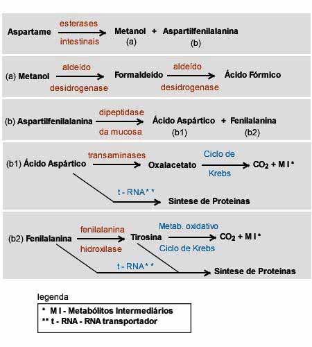 Outro aspecto importante o qual é analisado na tabela são os valores calóricos dos adoçantes. Nesta tabela há apenas um adoçante dietético que fornece calorias quando ingerido, o aspartame.