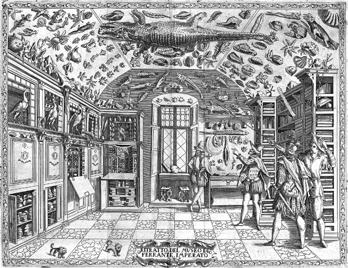 Ilustração de Ferrante Imperato de seu gabinete de curiosidades. FONTE: FERRANTE, IMPERATO. DELL`HISTORIA NATURELE. NAPÓLES, 1599.