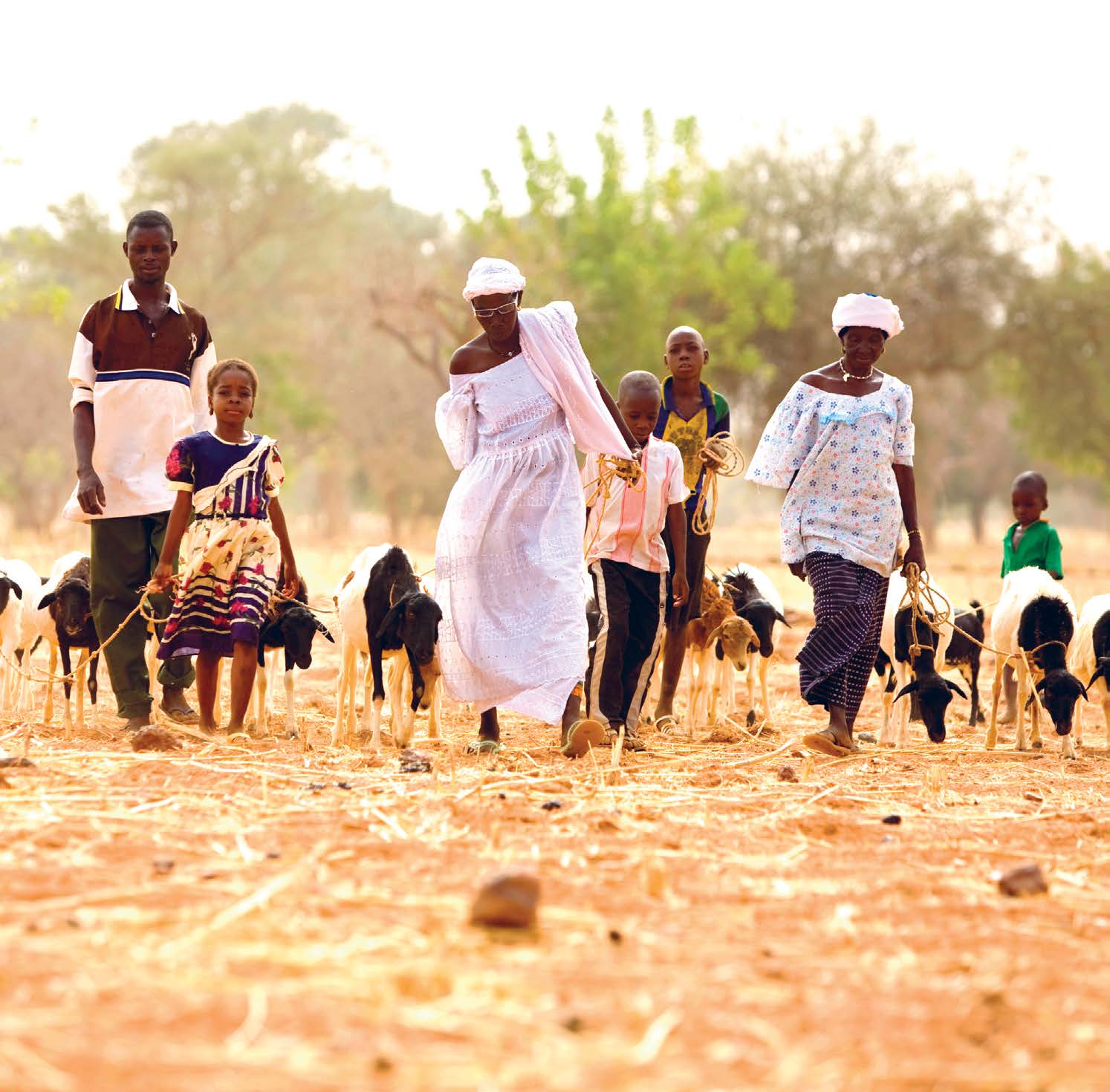 6 O mundo que queremos ver: perspectivas pós-2015 África VOZES PARCEIRAS ÁFRICA Christian Aid/Kevin Leighton Aminata Sawadogo e seu neto Souley, de onze anos (ao centro), com seus animais na vila de