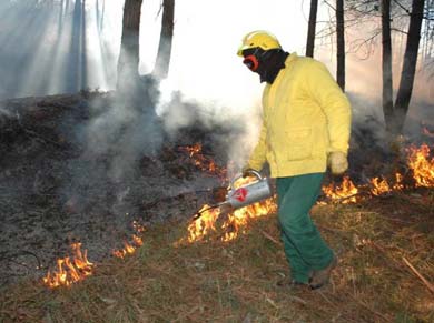 O fogo controlado só pode ser executado sob orientação e responsabilidade de um técnico credenciado pela AFN ou pelos bombeiros.