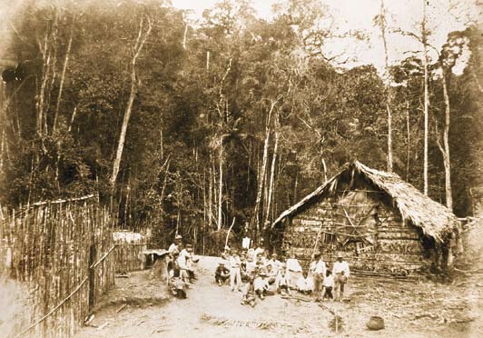 56 I Uma história holandesa no Brasil e procuraram algum lugar para se sentar. Num lugar, onde eles ainda não haviam começado a derrubada, havia uma enorme árvore no chão.