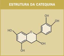 ??????? de antioxidantes que ajudam a combater o envelhecimento precoce, com 10 vezes mais antioxidantes do que a uva e 10 a 30 vezes mais antocianinas do que o vinho tinto; Possui sinergia de