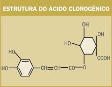 contração e regeneração muscular.