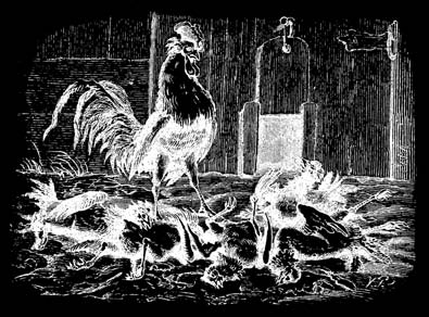 É absolutamente Certo! Det er ganske vist! (1852) É uma história terrível! disse uma galinha, e tudo isso num ponto da cidade onde a história nunca se tinha passado.