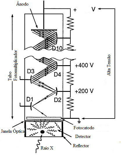 3.3.1 Instrumentação O sistema PET (Biograph True Point 6 com True Vue da Siemens), utilizado na realização dos testes, é constituído por vários anéis completos de detectores estáticos, cristais de