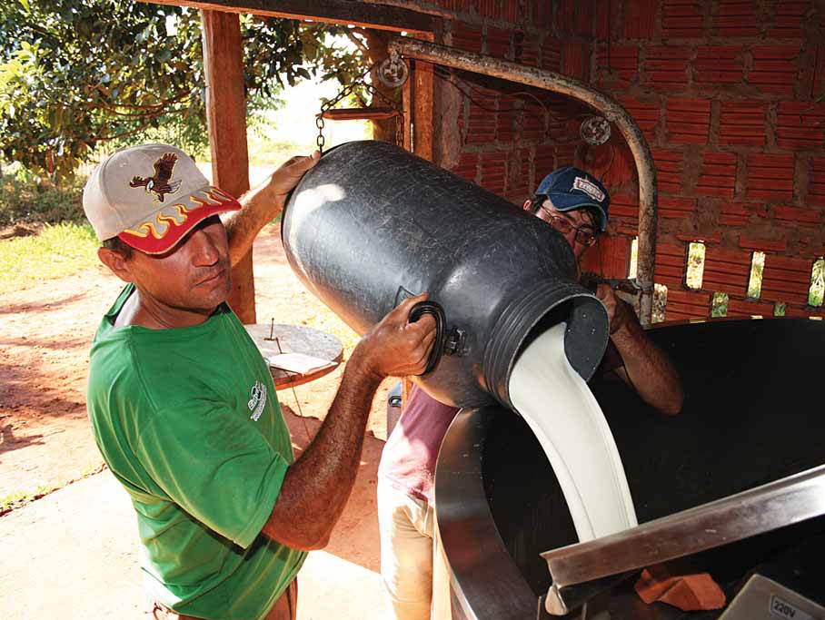 85 PROGRAMA LUZ PARA TODOS O leite agora está sendo um bom negócio.