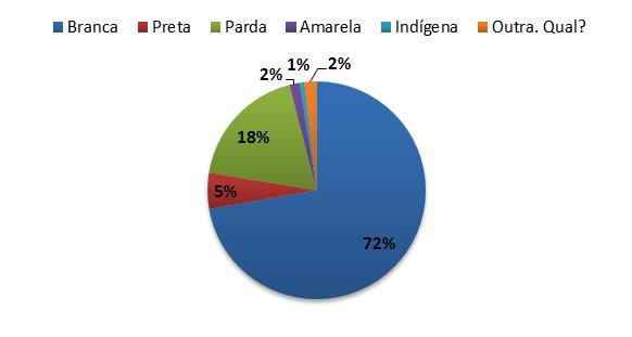 Jornalistas brasileiros por cor/raça (2012) Fonte: