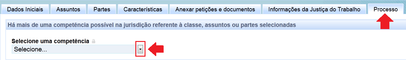 Feita a opção, permanecem as funcionalidades já mencionadas. e.4) Cadastrando petições incidentais em 2ª instância O procedimento aqui é o mesmo descrito na letra e.