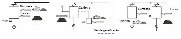 18 Outra forma de utilização da biomassa é a cocombustão, em que biomassa e carvão são queimados para a produção de energia, conforme indicado na Figura 12.9.