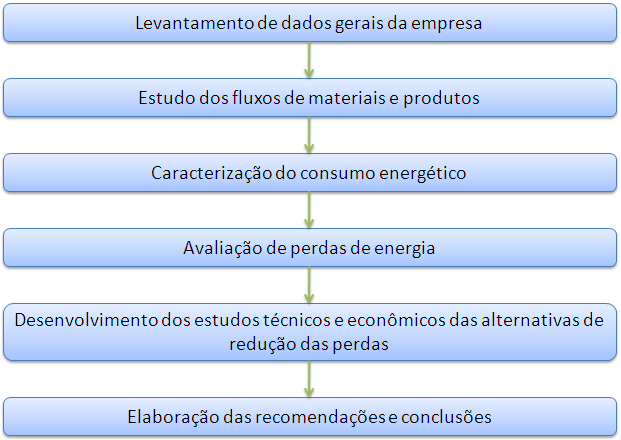 observar o caráter estratégico e determinante que o suprimento de eletricidade e combustíveis apresenta em todos os processos produtivos.