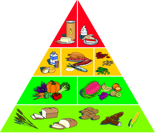 SIGA ESTE ROTEIRO PARA AVALIAR SE O ALIMENTO QUE VOCÊ ESTÁ COMPRANDO APRESENTA MUITAS OU POUCAS CALORIAS, CARBOIDRATOS, GORDURAS, COLESTEROL, FIBRAS ALIMENTARES, CÁLCIO, FERRO E SÓDIO PARTE I