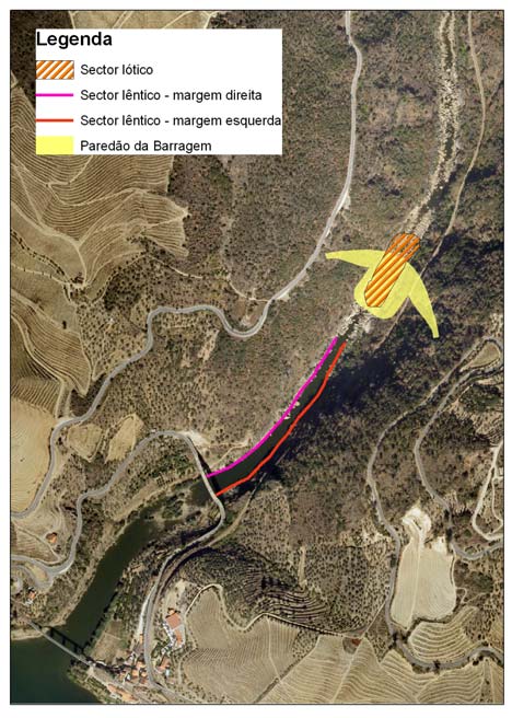 #2 #3 #1 Figura 15 Localização dos troços amostrados no Rio Tua em Foz Tua: #1 sector lótico (200 m acima do túnel do caminho de ferro); #2 sector lêntico, margem esquerda; #3 sector lêntico, margem