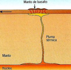 São usados para saber a velocidade da placa (datação radiométrica).