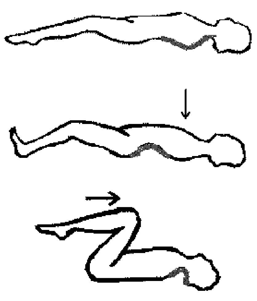 Deve, também, ser acrescentado que a própria Françoise Mézières terá cedo percebido que existia uma sinergia importante entre a musculatura posterior e o diafragma e os músculos rotadores internos