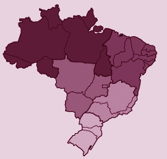 Na política, as mulheres brasileiras estão sub-representadas. São apenas 8,2% na Câmara dos Deputados e 14,8% no Senado. Nos legislativos estaduais, somam 12,5% do total de deputados.