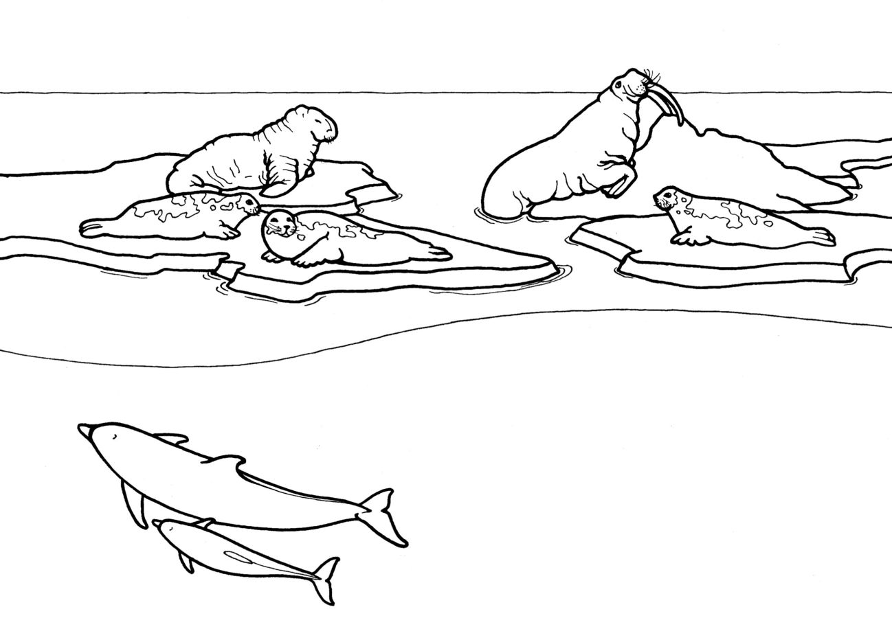 Alguns mamíferos, como as focas e os leões-marinhos, passam muito tempo na água. Porém os golfinhos são mamíferos que passam toda a vida na água.