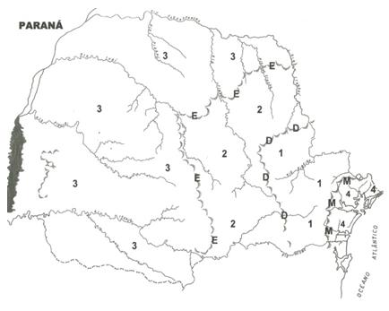 04) O rio Paraguai, que atravessa o país de norte a sul, o divide em duas grandes regiões: a oeste, o Chaco, de vegetação pobre e muitos pântanos; a leste localiza-se uma área fértil onde se