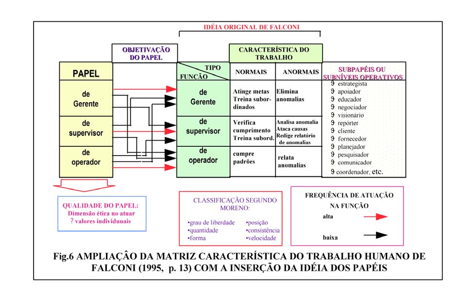 Numa dimensão mais global e sistêmica o papel profissional a ser desenvolvido, também requer :a) um suplemento de conhecimentos (caráter conceitual) afins ao papel a ser desenvolvido; b)uma