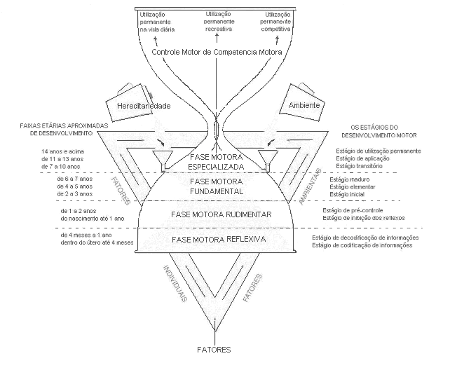 Iniciação nas modalidades esportivas coletivas: a importância da dimensão tática FIGURA 5: Modelo de desenvolvimento motor (adaptado de GALLAHUE & OZMUM, 2001).