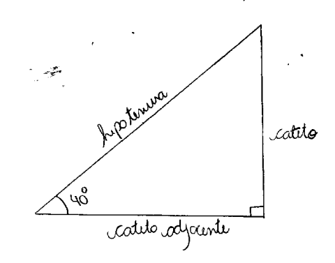 78 triângulo retângulo e o Teorema de Pitágoras foram compreendidos. Nos cálculos, tiveram dificuldades quanto à aplicação das regras dos produtos notáveis e na resolução das equações.