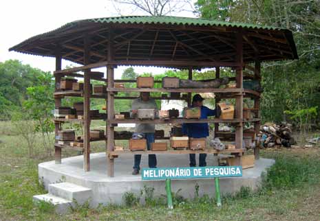 pesquisas associadas ao Projeto Abelhas Nativas 3,