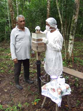 68 Manual Tecnológico potes de alimento. É o caso da uruçu nordestina (Melipona scutellaris), por exemplo.