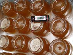 80 Manual Tecnológico Os recipientes de vidro são os mais indicados para o armazenamento de mel, uma vez que não interferem em suas características naturais e são esteticamente bonitos.