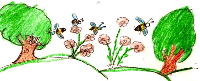 Textos e Tarefas Mauro Sales 4º ano Abelhas Nativas Sem Ferrão O trabalho das abelhas é importante para a preservação da natureza. Elas ajudam no nascimento de muitas plantas.