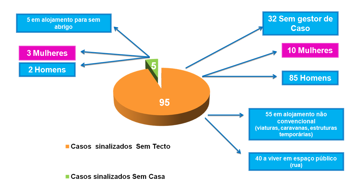 Do universo dos 100 casos validados apresenta-se a seguinte distribuição face à categoria