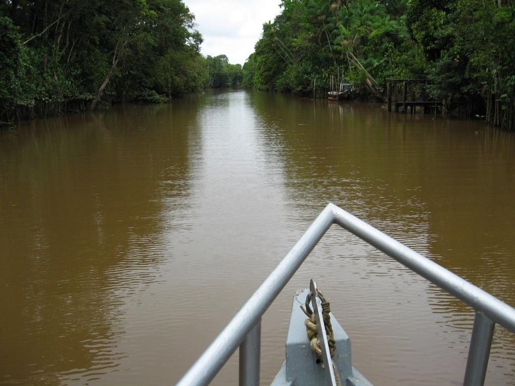 91 Harris (2000) também reconhece as peculiaridades do modo de vida ribeirinho da Amazônia.