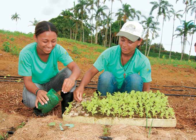 Educandas na Casa Familiar Rural de Presidente Novo Tancredo impulso: Neves: local Cooperativa de dos implantação Produtores da primeira de unidade Palmito do País do no Baixo Baixo Sul Sul da Bahia