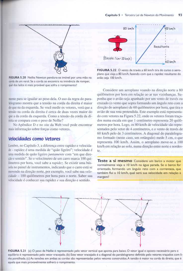 A diagonal do paralelogramo formado (neste caso, um retângulo) mede 5 cm, o que representa 100 km/h.