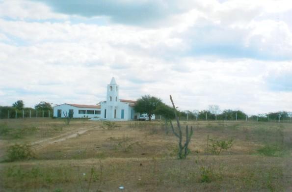 Quebrando a monotonia da pálida caatinga, um viçoso pereiro 18 ampara a edificação e lhe faz companhia o ano inteiro (Foto 2).