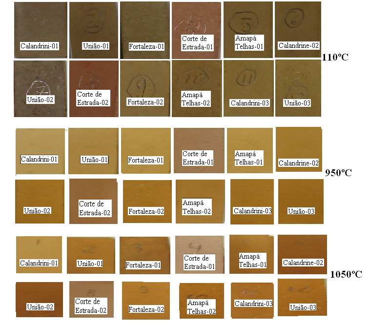 65 4.4.1 Cor As variações de tonalidades apresentadas pelos materiais nas temperaturas de 110ºC, 950ºC e 1050ºC estão demonstradas na Figura 4.