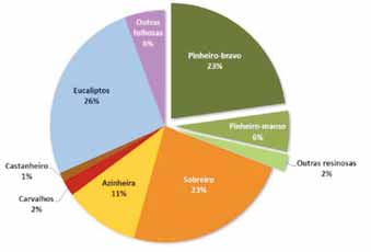 2. CARACTERIZAÇÃO DO SETOR 2.1. Floresta portuguesa Portugal tem cerca de 35% do seu território coberto com floresta.