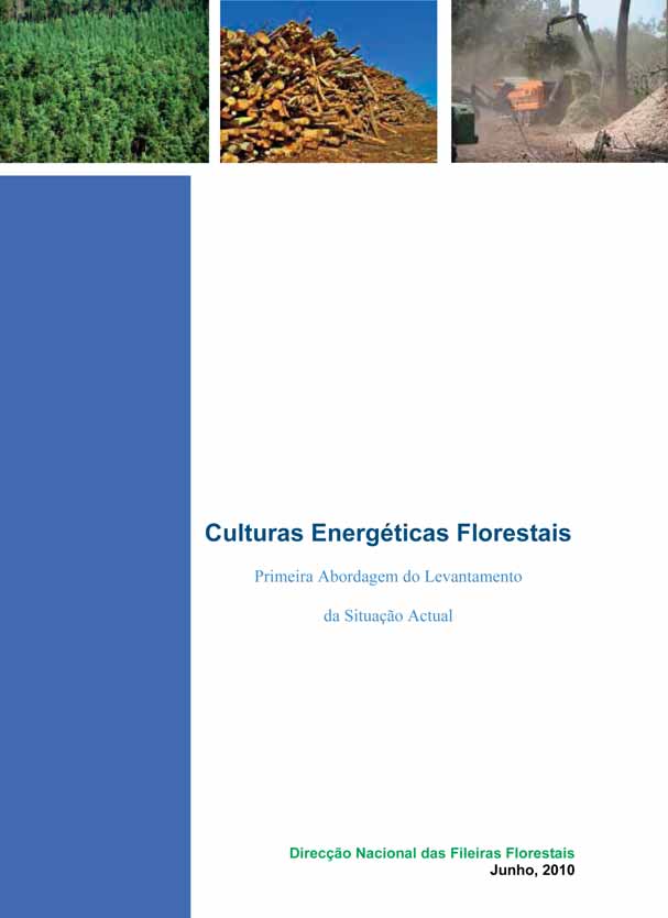 Anexo XII Culturas energéticas florestais