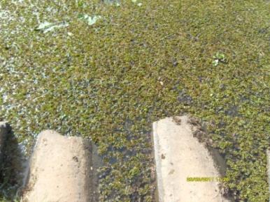 de retenção do O T Fluxo constante de água entrando na Lagoa.