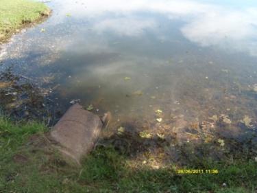 Fluxo constante de água saindo da lagoa para o córrego.