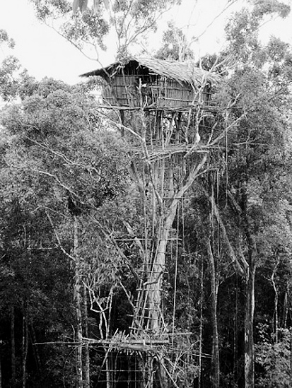 HISTÓRIA DA CONSTRUÇÃO ARQUITETURAS E TÉCNICAS CONSTRUTIVAS Fig. 4. Casa na árvore Korowai, Nova Guiné (http://engenhariacivil dauesc.blogspot.pt/) 1.4. Idade Moderna Nos finais da Idade Média, a destreza dos carpinteiros e artífices permitia construir edifícios até 5 e 6 pisos.