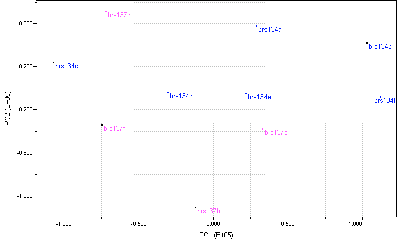 153 FIGURA 4.85 Gráfico de escores referente a análise por PCA de espectros de IV de sementes de soja das cultivares BRS 134 e BRS 137.